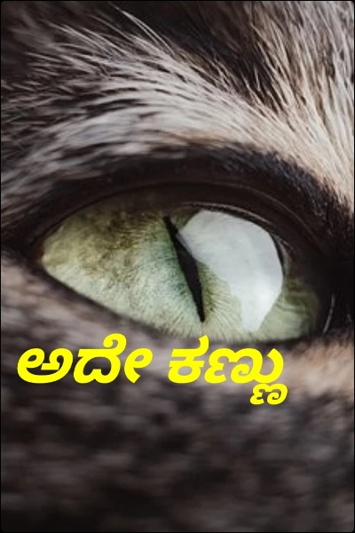 ಅದೇ ಕಣ್ಣು