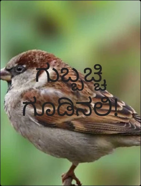 ಗುಬ್ಬಚ್ಚಿ ಗೂಡಿನಲಿ!