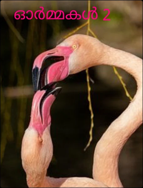 ഓർമ്മകൾ 2