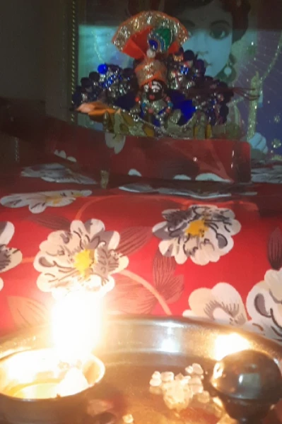 मेरा लाडला भाई लड्डू गोपाल जी