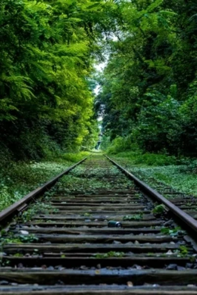দুবরাজপুর জঙ্গলের আতঙ্ক পর্ব -১