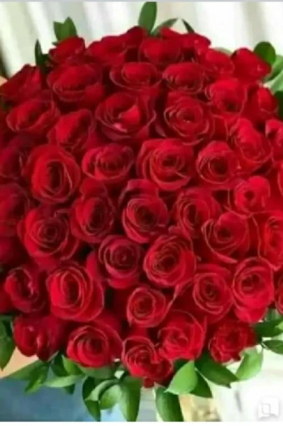 நினைவில் பூத்த மலர்கள்.