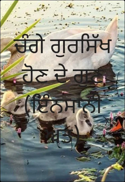 ਚੰਗੇ ਗੁਰਸਿੱਖ ਹੋਣ ਦੇ ਗੁਣ (ਇੰਨਸਾਨੀਅਤ)