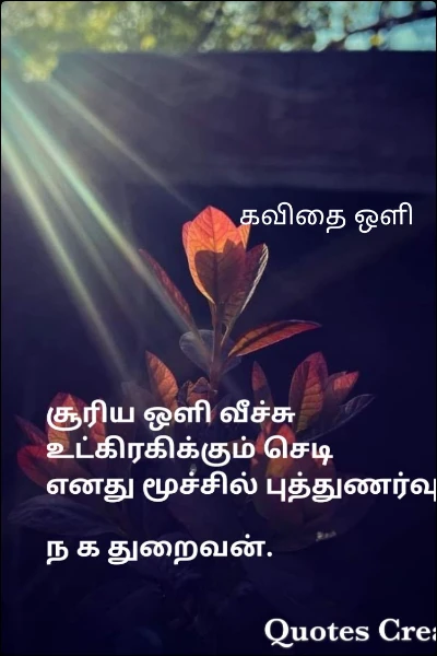 கவிதை ஒளி
