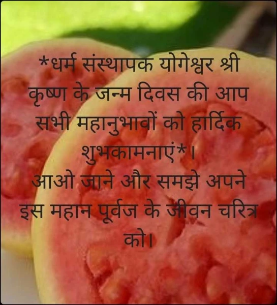 *धर्म संस्थापक योगेश्वर श्री कृष्ण के जन्म दिवस की आप सभी महानुभावों को हार्दिक शुभकामनाएं*।
आओ जाने और समझे अपने इस महान पूर्वज के जीवन चरित्र को।