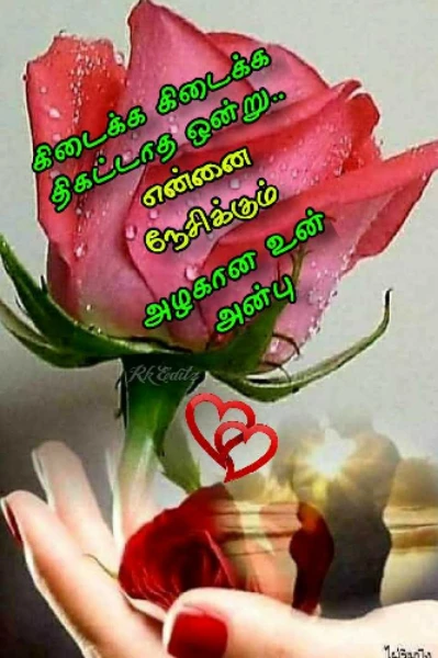 நட்பின் இலக்கணம்