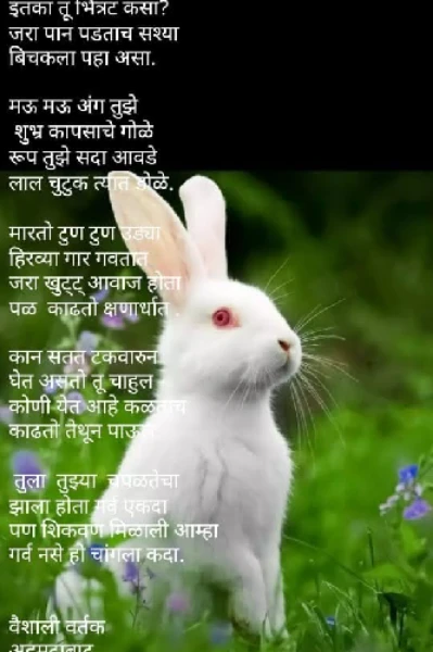 भित्रा ससा