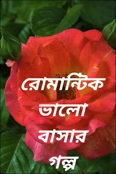 রোমান্টিক ভালোবাসার  গল্প