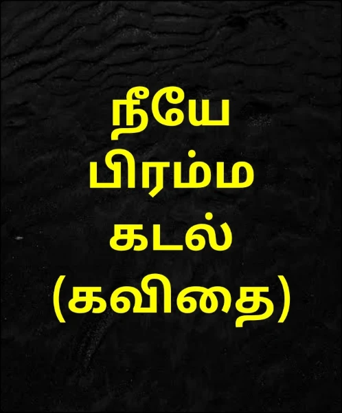 நீயே பிரம்ம கடல் (கவிதை)