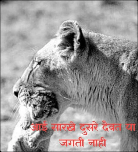 आई सारखे दुसरे दैवत या जगती नाही