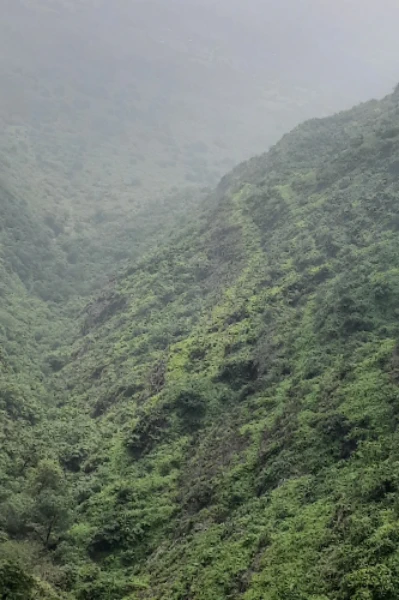కళ్ళు జీవిత తత్వం