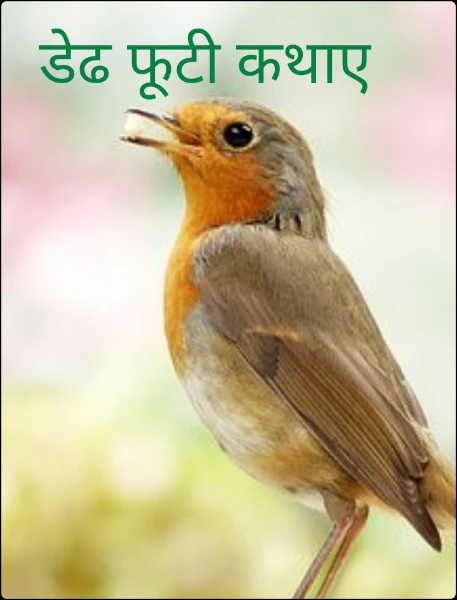 डेढ फूटी कथाए