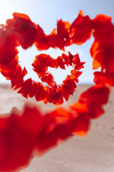 ଏକ ଭିନ୍ନ ପ୍ରେମ କାହାଣୀ 💖