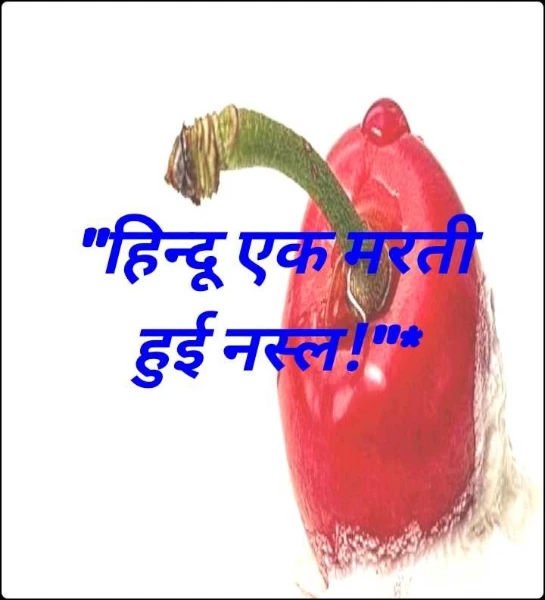 "हिन्दू एक मरती हुई नस्ल!"*