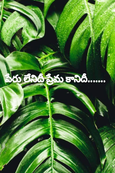 పేరు లేనిదీ ప్రేమ కానిదీ...... 1