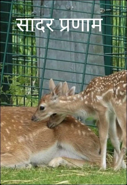 सादर प्रणाम