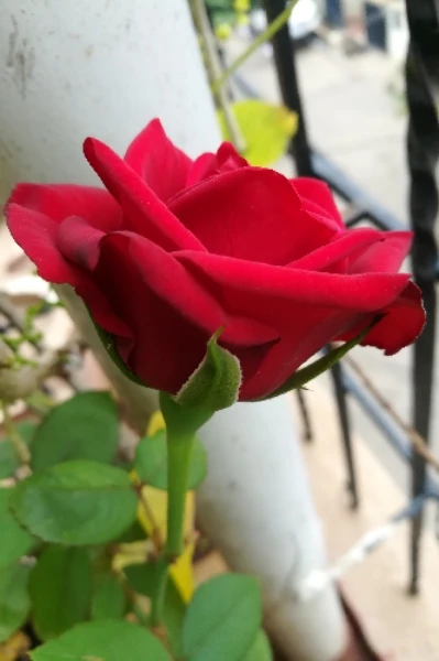 ಇದು ಸಾಧ್ಯ!