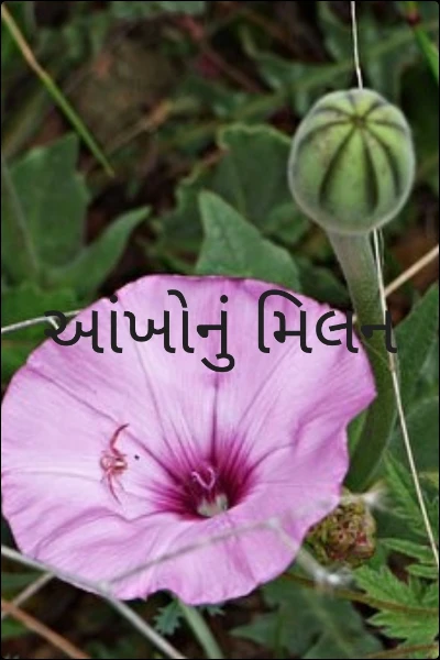 આંખોનું મિલન