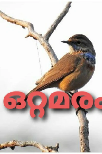 ഒറ്റമരം