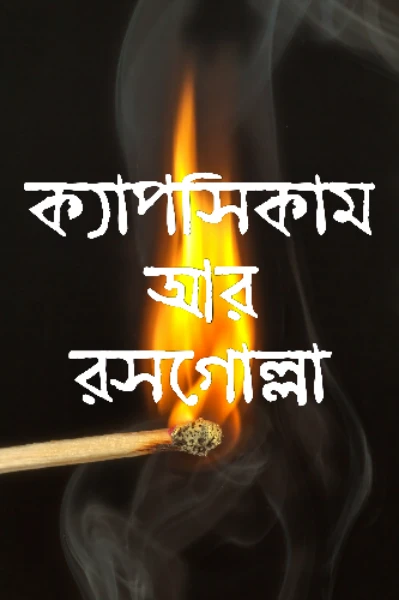 ক্যাপসিকাম ও রসগোল্লা