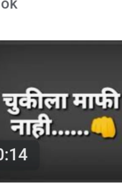 ✍️* चुकीला माफी नाही*