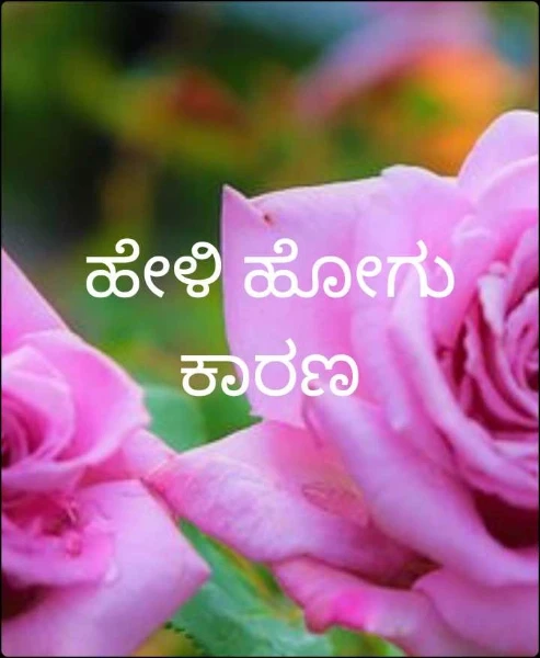 ಹೇಳಿ ಹೋಗು ಕಾರಣ
