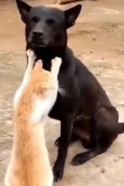 अनोखा विषय अनोखी कहानियाँ