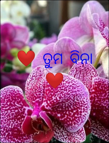 ❤️ ତୁମ ବିନା ❤️