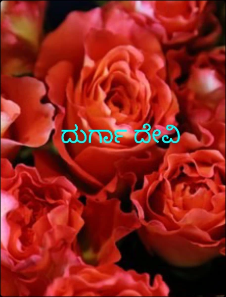 ದುರ್ಗಾ ದೇವಿ