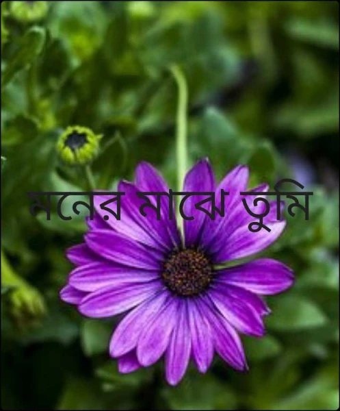 মনের মাঝে তুমি