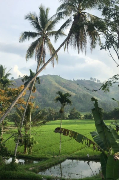 ഓർമ്മയിലെ നാട്ടിൻപുറം കാഴ്ചകൾ💚