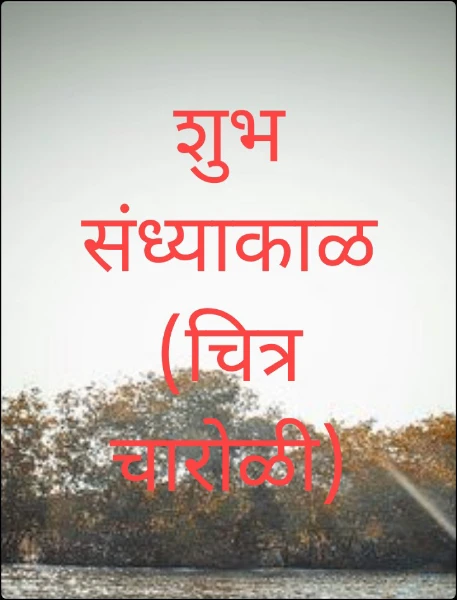 शुभ संध्याकाळ (चित्र चारोळी)