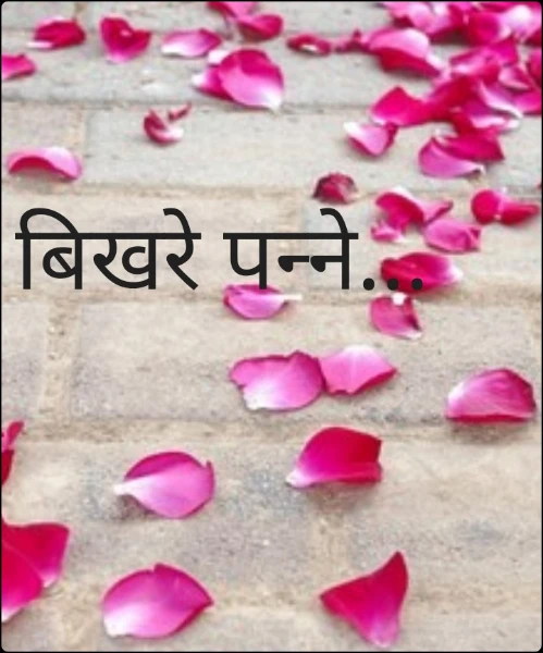 बिखरे पन्ने...