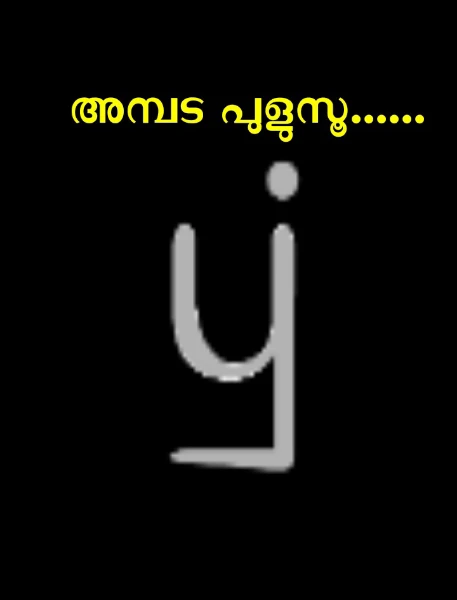 അമ്പട പുളുസൂ......