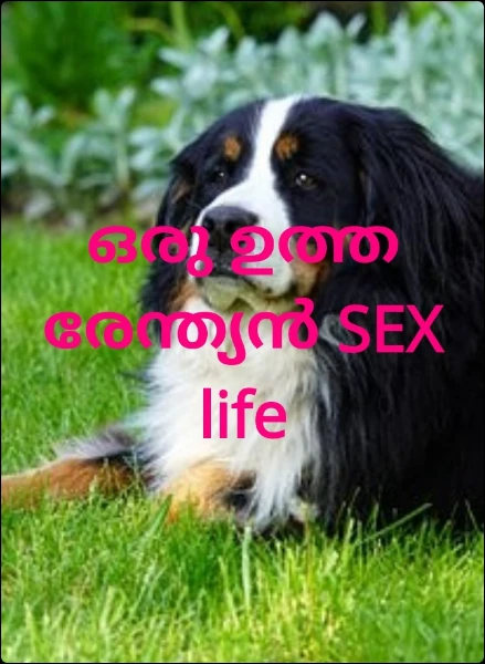ഒരു north old  SEX life
