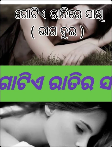 ଗୋଟିଏ ରାତିରେ ସାଥି ( ଭାଗ ଦୁଇ )