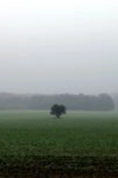 மழையோடு சில காலம்