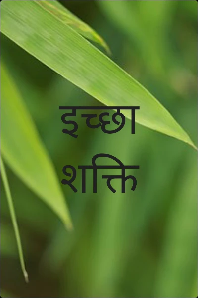इच्छा शक्ति