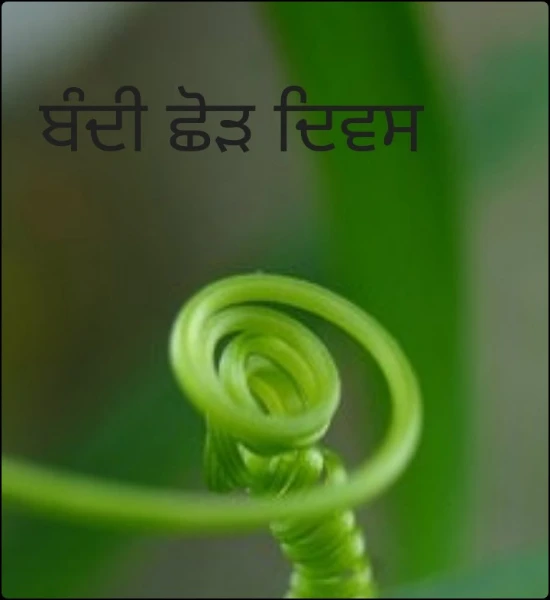ਬੰਦੀ ਛੋੜ ਦਿਵਸ
