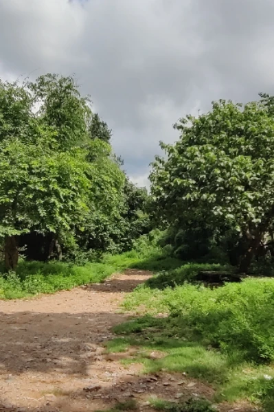 మొండి భైరవ కోన