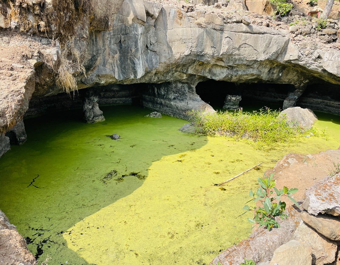 तकिया कलाम