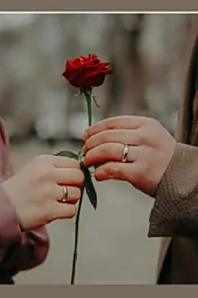 Love ❤ is bittersweet