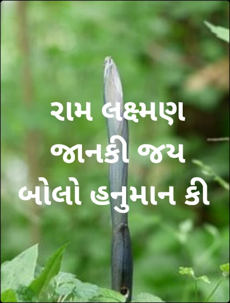 રામ લક્ષ્મણ જાનકી જય બોલો હનુમાન કી