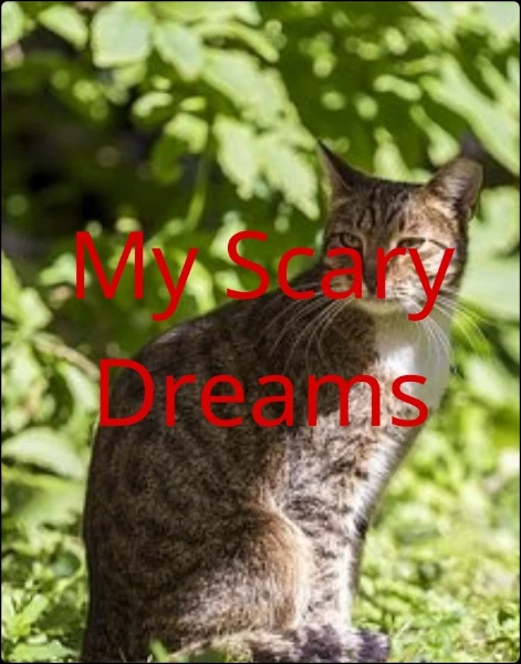 My Scary Dreams