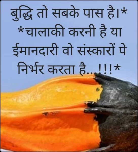 बुद्धि तो सबके पास है।*
*चालाकी करनी है या ईमानदारी वो संस्कारों पे निर्भर करता है...!!!*