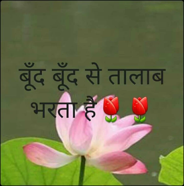 बूँद बूँद से तालाब भरता है🌷🌷
