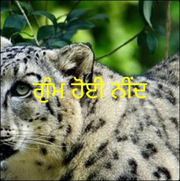 ਗੁੰਮ ਹੋਈ ਨੀਂਦ