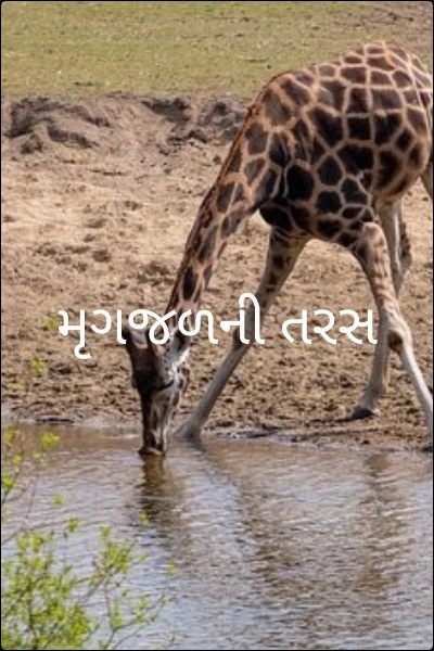 મૃગજળની તરસ