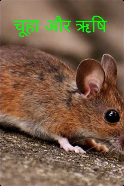चूहा और ऋषि