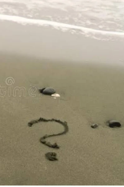 बॅचलर पार्टी